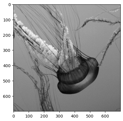 ../../../_images/12b64110167cb84c89bbcf69e9cd7e84db51b5ff31006bb547f40f0a04ee28b6.png