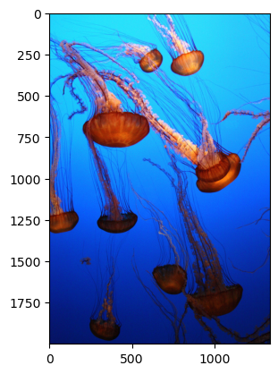 ../../../_images/f907f253b8df140ce23328d8ca688362e29fecc7a01bd8466a1d999d1a18de61.png