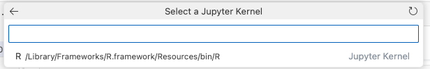 vscode_r_kernel